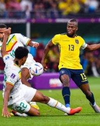 百家乐-高开低走，强弩之末的厄瓜多尔还是倒在小组赛