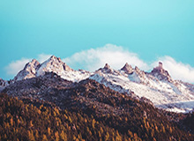 首秀小胜就不亏 杨瀚森:打得好不好看评论就知道